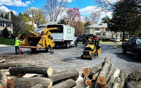 Best Sod Installation  in Fruit Heights, UT